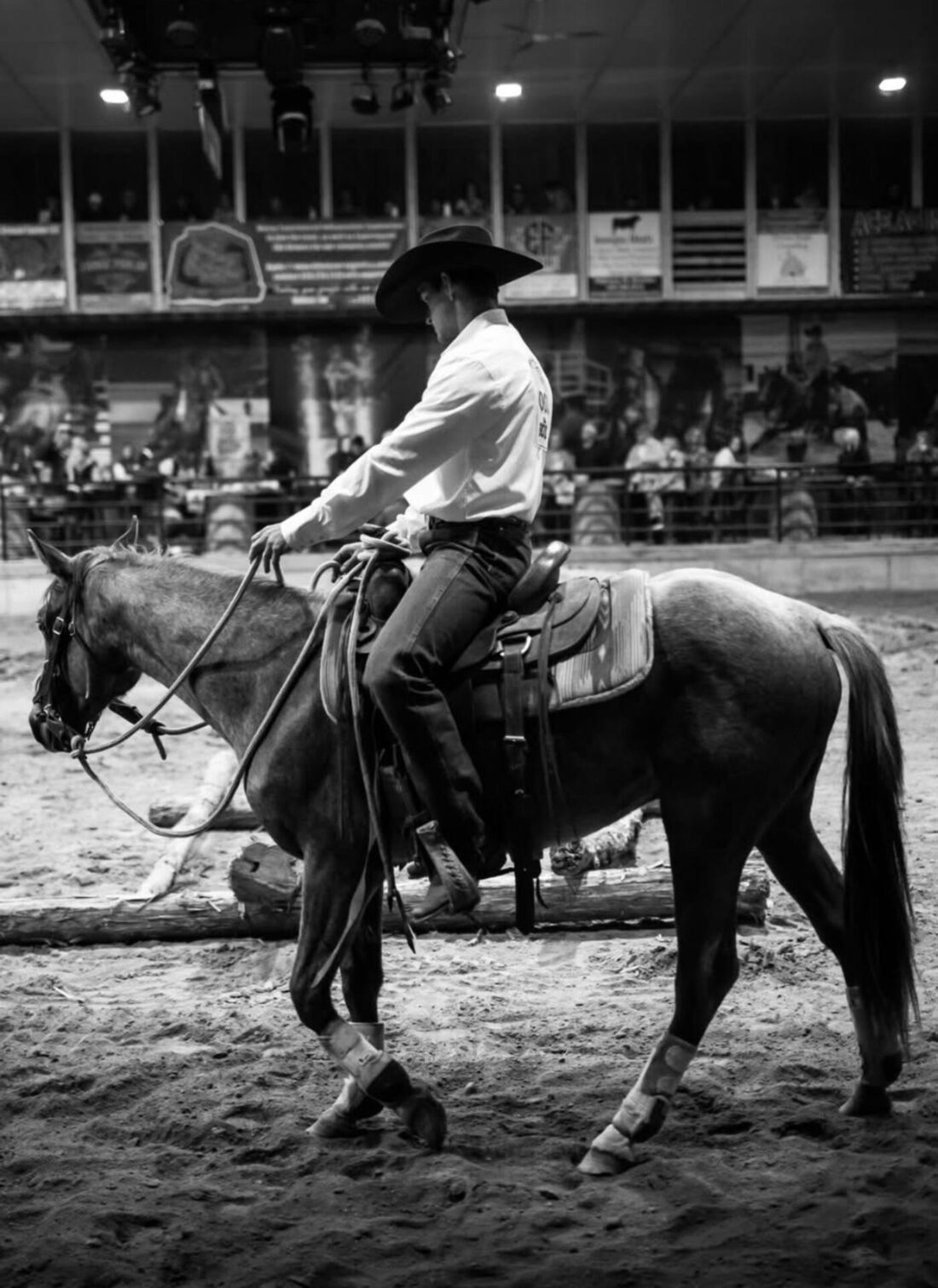 Horse and rider working together during training in an arena