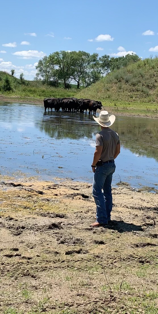 Jon Anderson observing cattle at a pasture pond