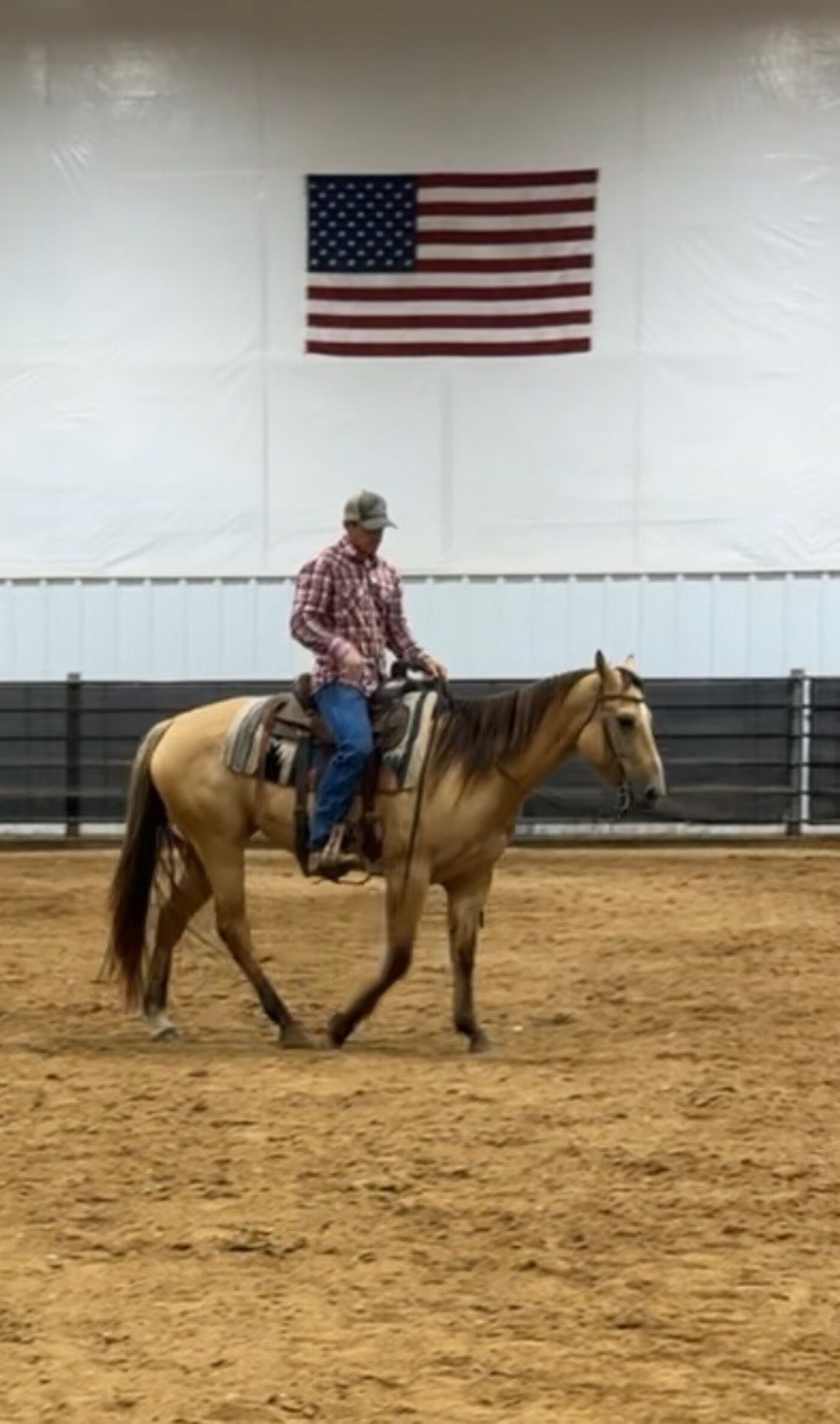 Horse and rider carrying a flag