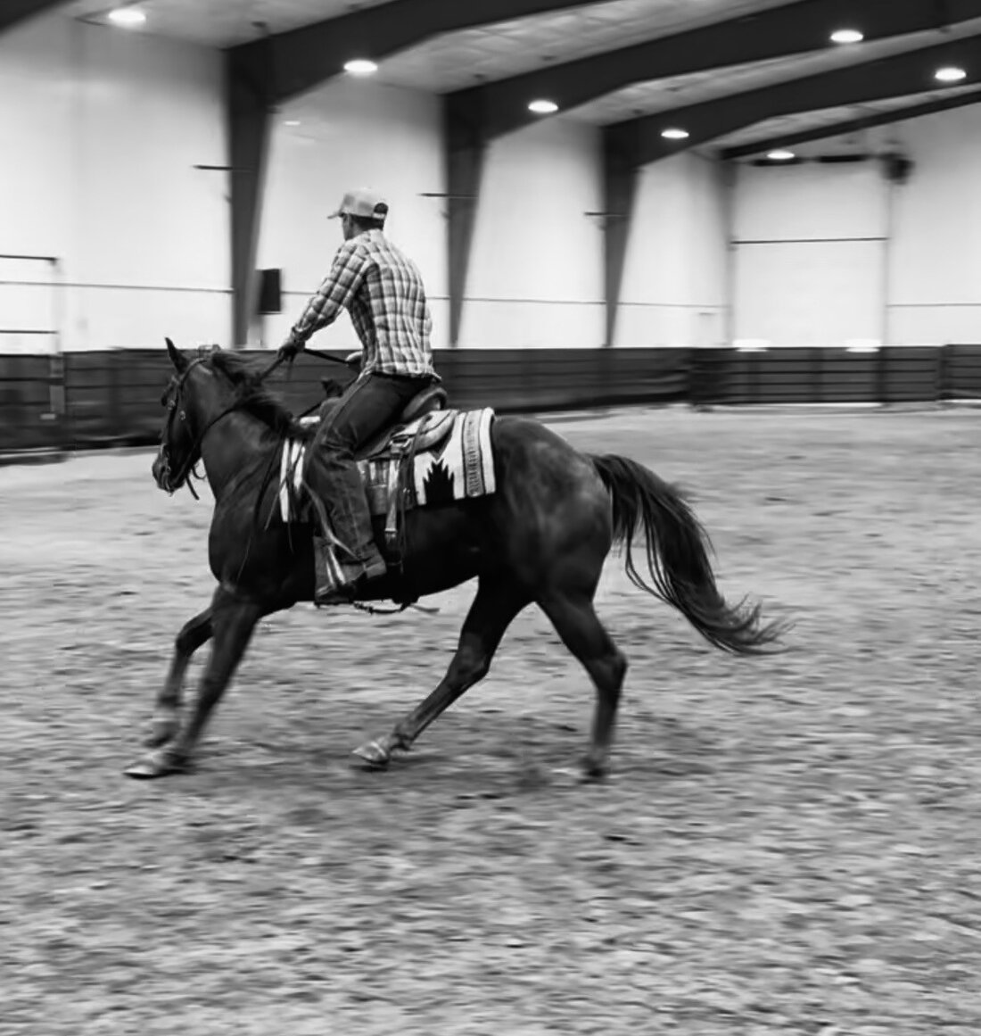 Horse and rider in focused training inside an arena