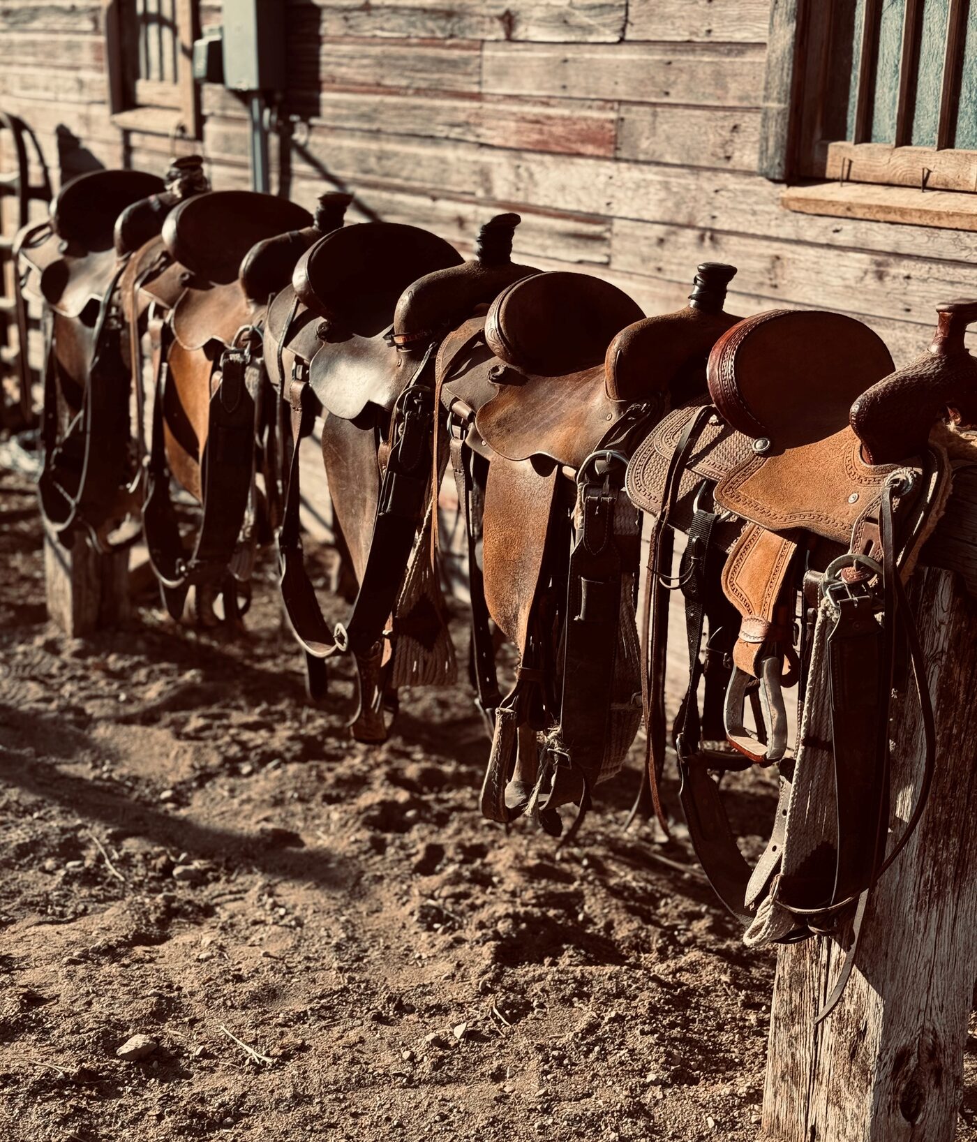 Saddles lined up and ready for work